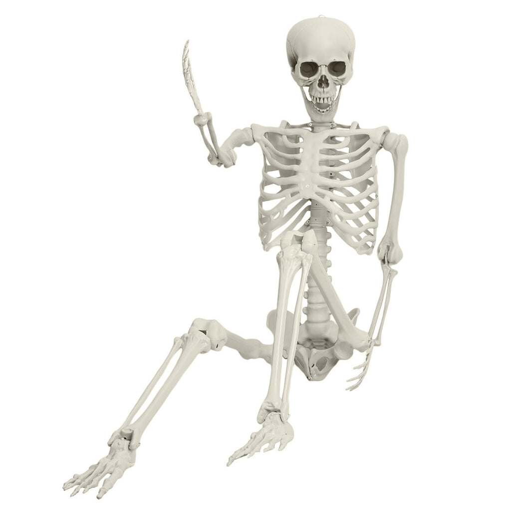 5.4FT 170cm Life Size Posable Skeleton with Movable Joints T87040