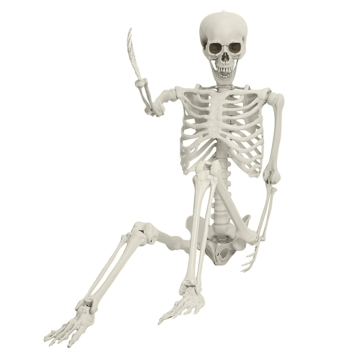5.4FT 170cm Life Size Posable Skeleton with Movable Joints T87040