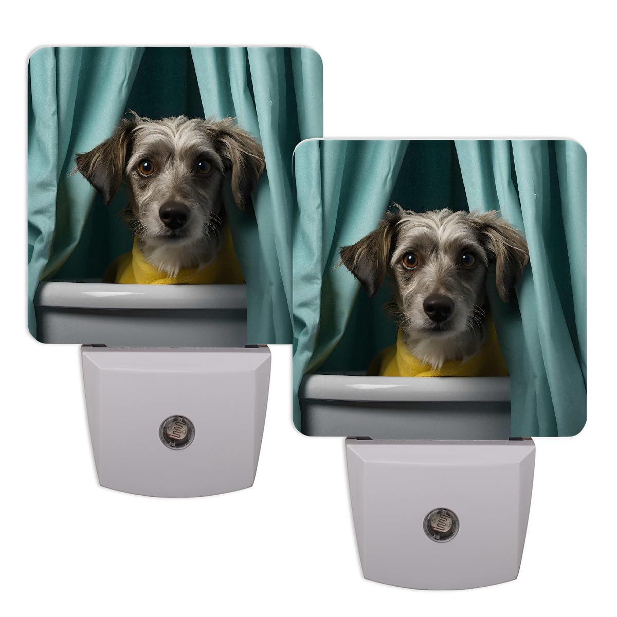 Plug-in Dusk to Dawn Sensor LED Night Light 2 Pack A537