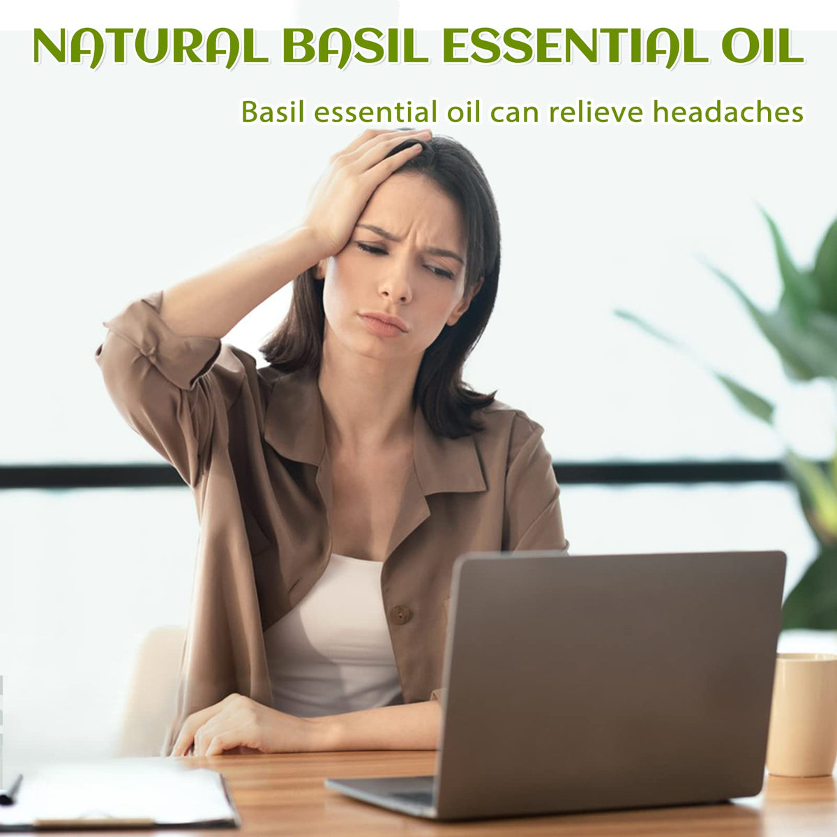 Basil and Lavender Essential Oil 4 Fl Oz P19039