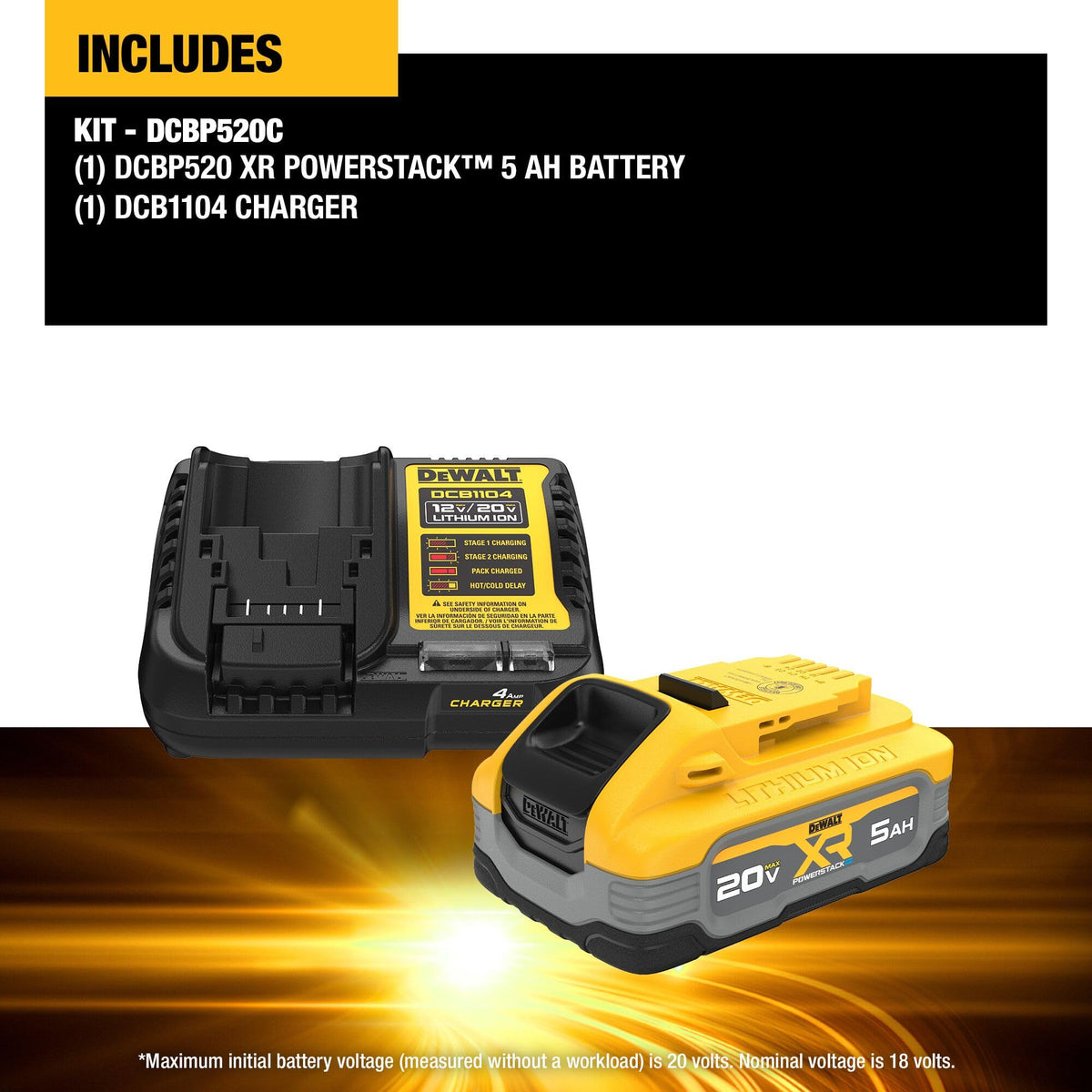 20V MAX Lithium Ion Battery Starter Kit T9196
