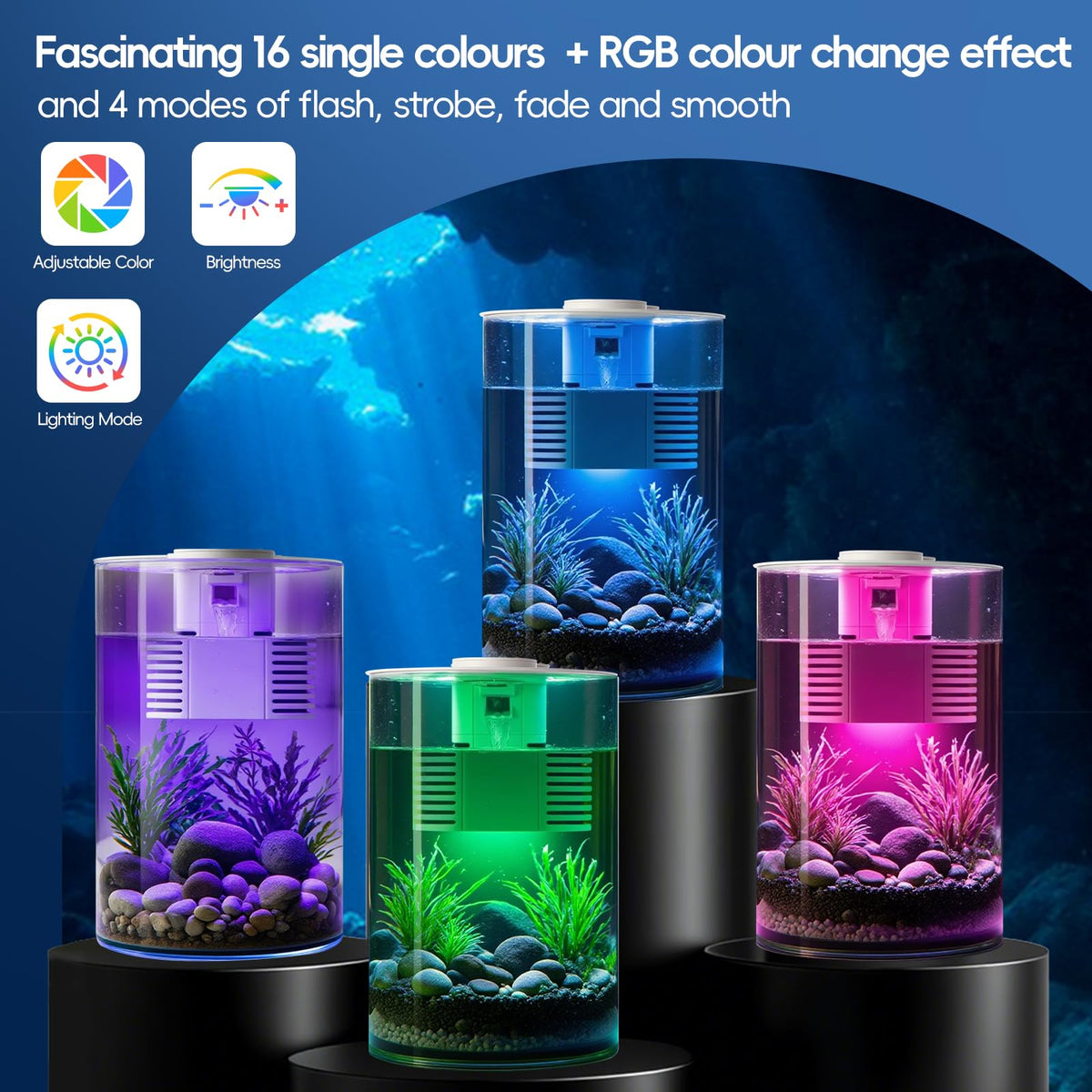 3 Gallon Self Cleaning Fish Tank Aquarium Starter Kit with Filter and Light L786