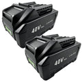 40V 4.0Ah Battery 2 Pack Q53689