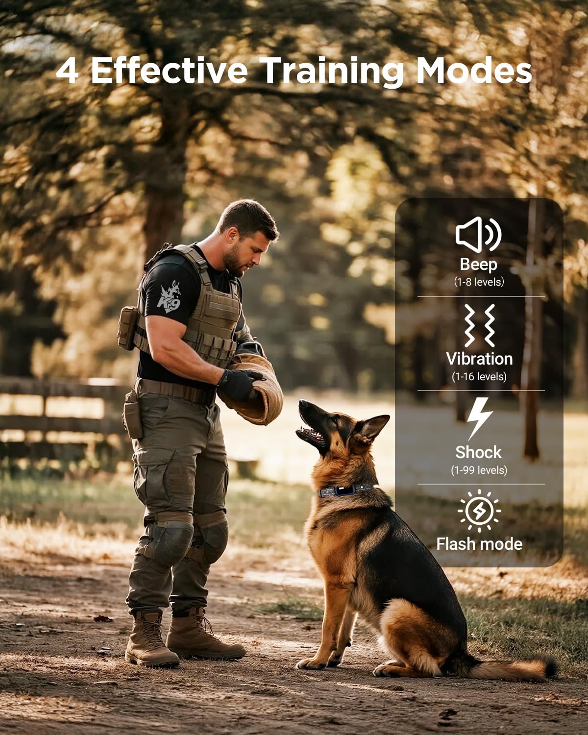 2 Dogs Dog Training Collar with Remote, 4 Training Modes, IP67 Waterproof X5238