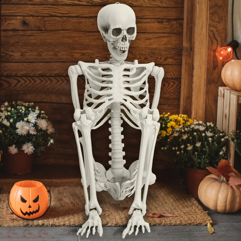 5.4FT 170cm Life Size Posable Skeleton with Movable Joints T87040