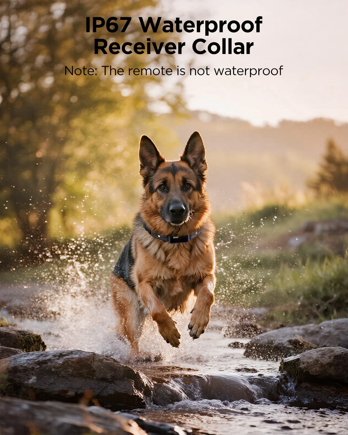 2 Dogs Dog Training Collar with Remote, 4 Training Modes, IP67 Waterproof X5238