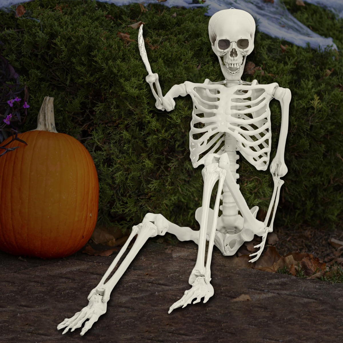 5.4FT 170cm Life Size Posable Skeleton with Movable Joints T87040