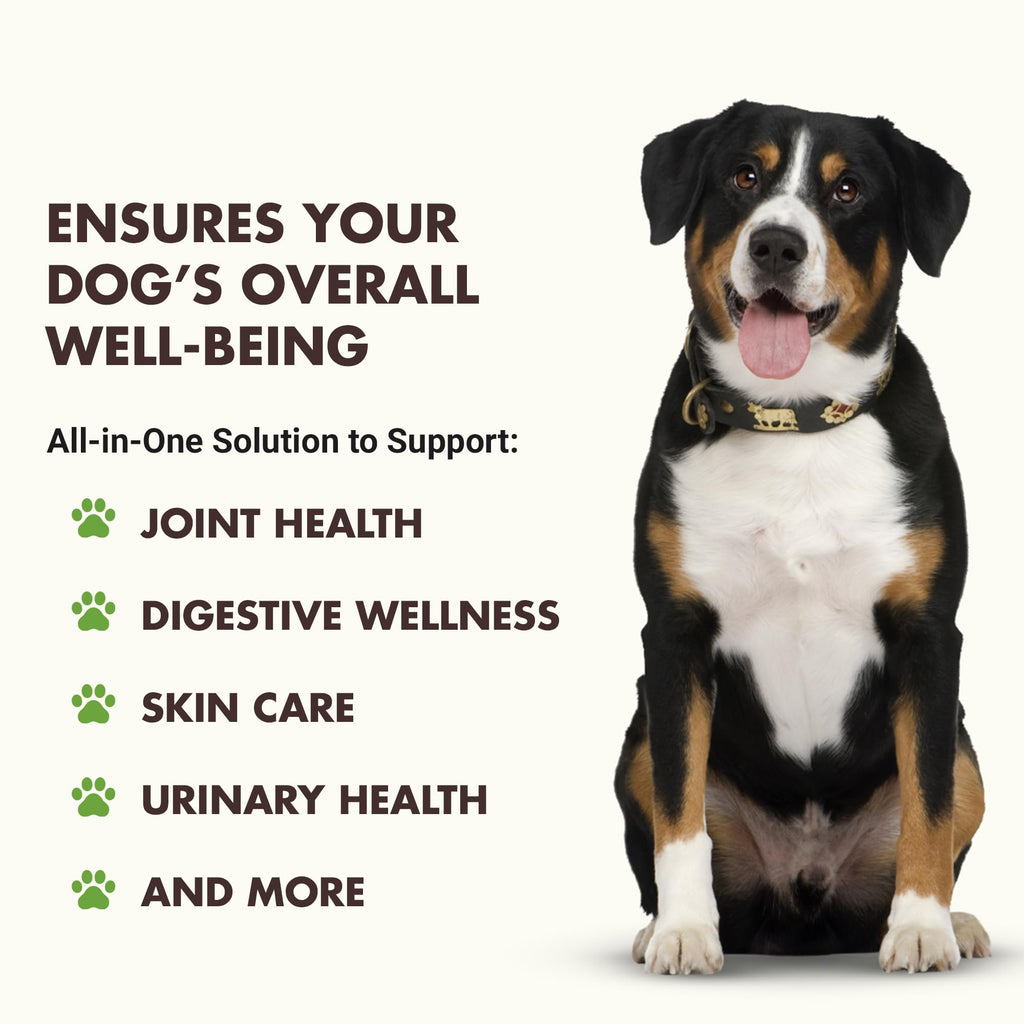 10-in-1 Dog Support 32 oz Unflavored D383