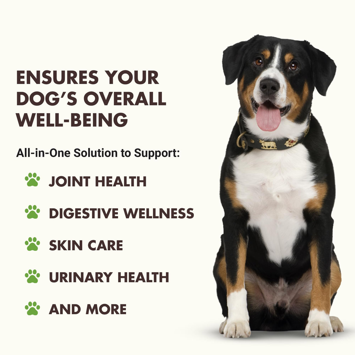 10-in-1 Dog Support 32 oz Unflavored D383