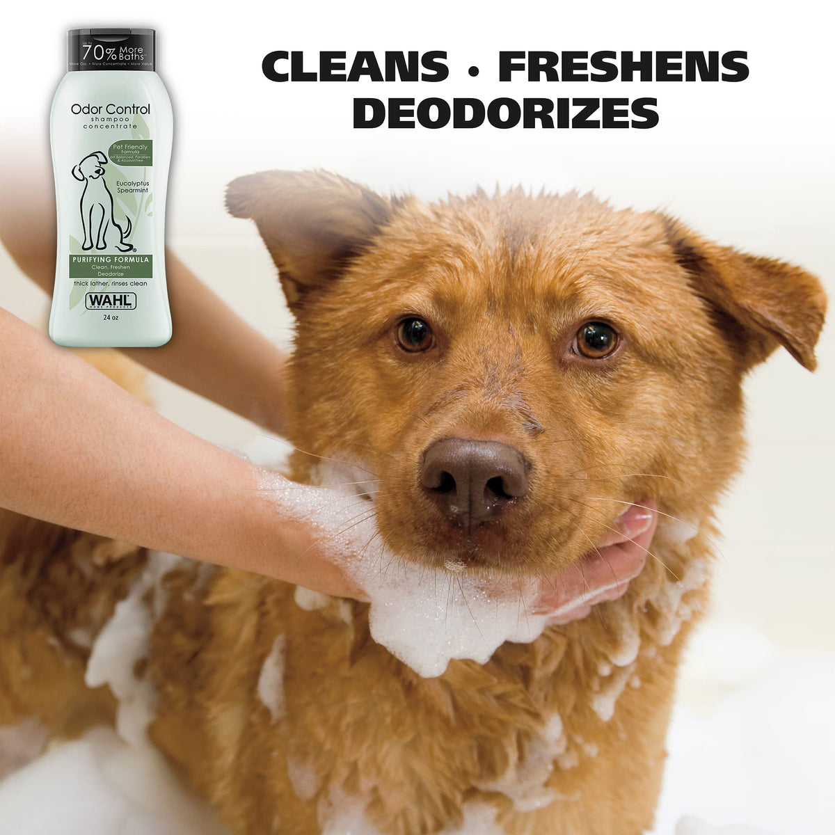 Eucalyptus Spearmint Odor Control Dog Shampoo 24 Oz L879101