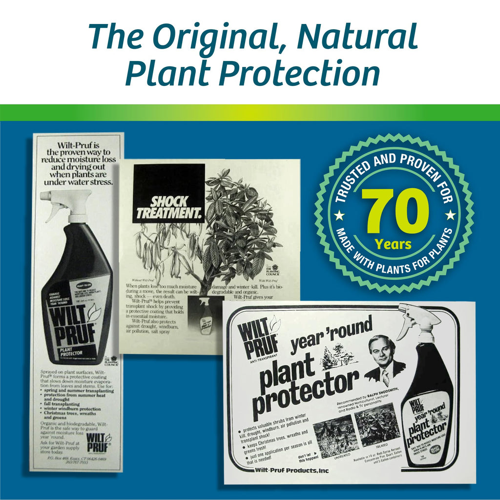 16 oz Concentrate Y985