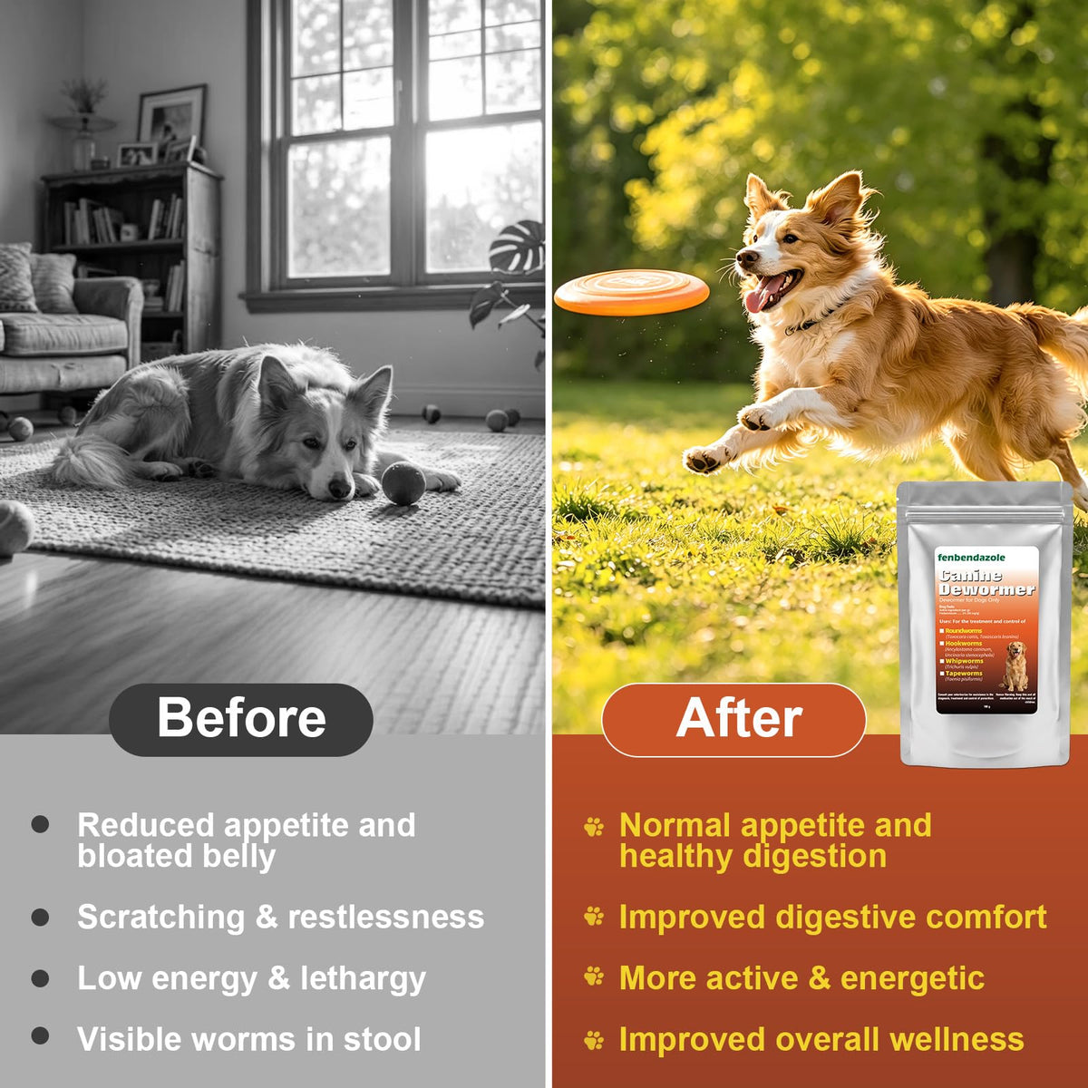 Dog Dewormer 100g B92614