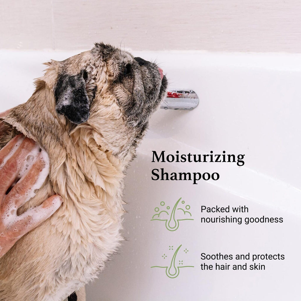 Argan Vitamin E Dog Shampoo Gallon Z346531