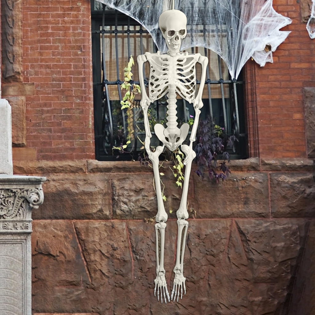 5.4FT 170cm Life Size Posable Skeleton with Movable Joints T87040