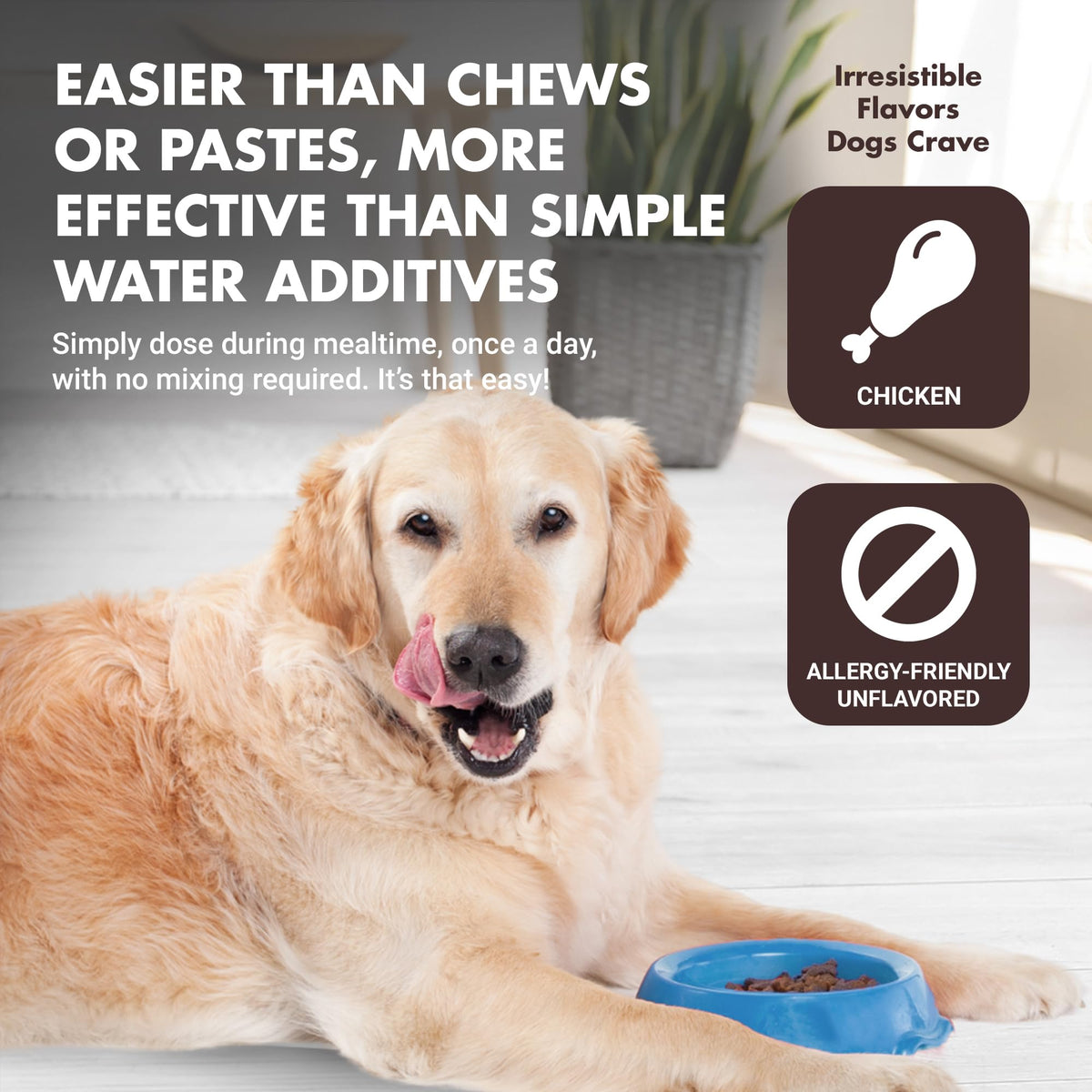 10-in-1 Dog Support 32 oz Unflavored D383